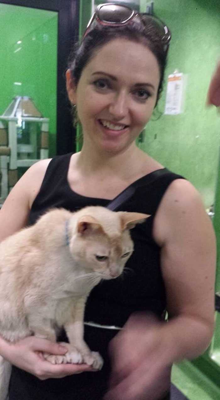 Gato de refugio de 13 años es adoptado, no puede conciliar el sueño a menos que su humano le sostenga la pata